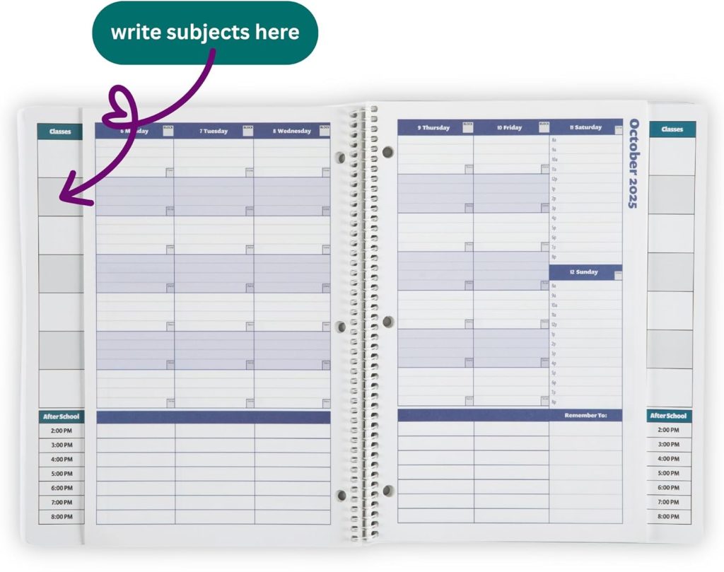 order out of chaos planner review